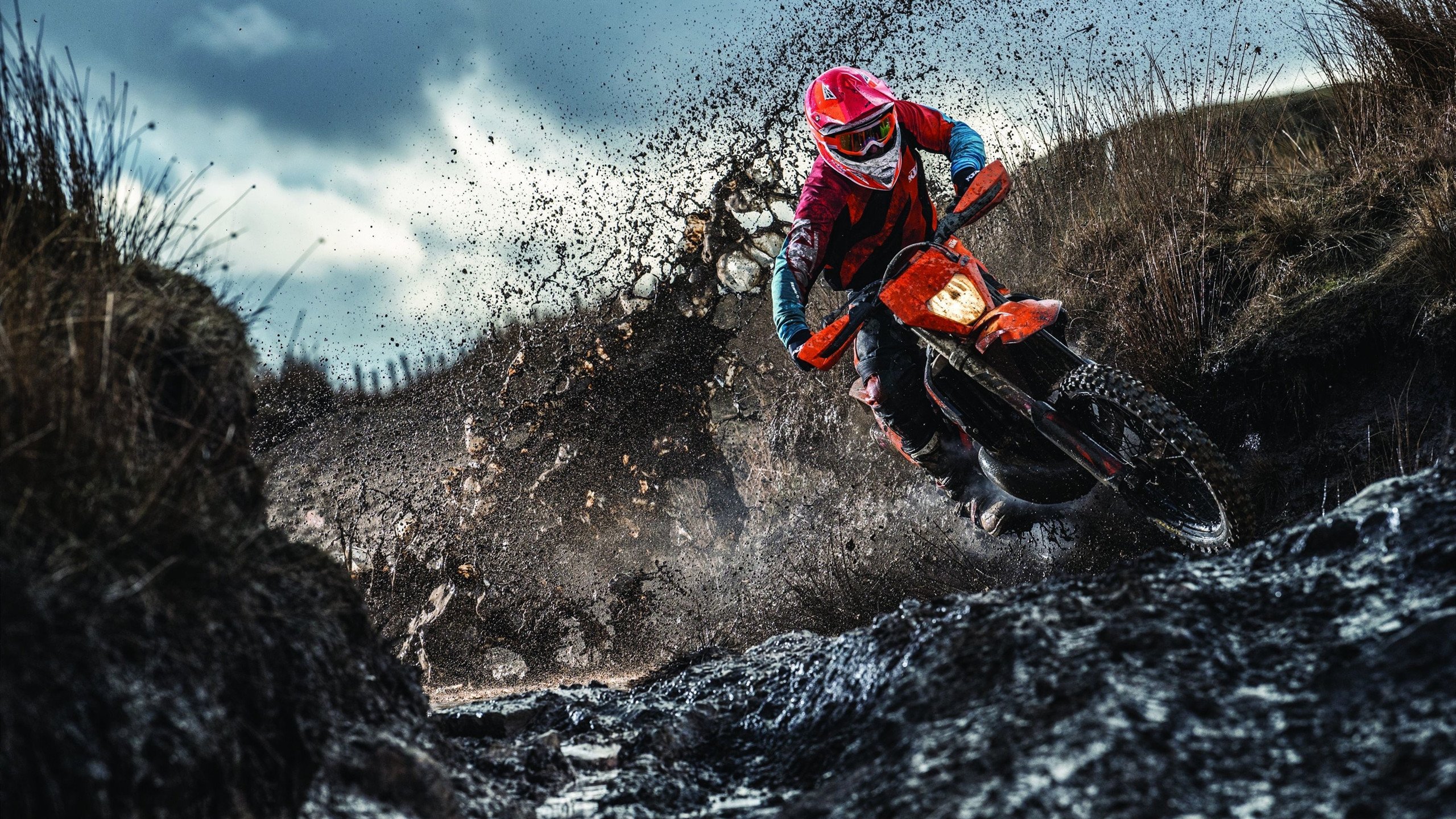 满满少女心！全红婵被观众娃娃雨淹没：满场奔跑捡拾摄像师累坏了